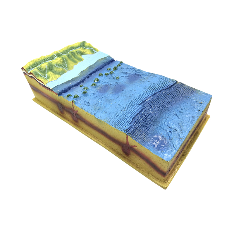 Underwater seabed model